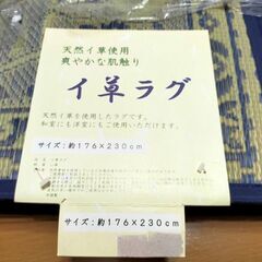 【イ草ラグ　新品・未開封】の画像
