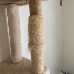 決まりました！！の画像