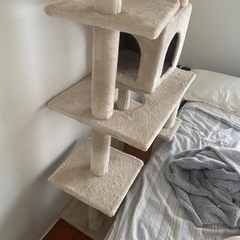 決まりました！！の画像