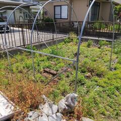 早いもの勝ち✌🌽家庭菜園用🍅パイプハウス🥕（骨組みのみ）の画像