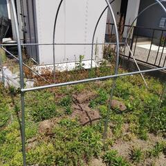 早いもの勝ち✌🌽家庭菜園用🍅パイプハウス🥕（骨組みのみ）