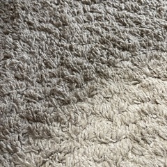 カーペット　約3m×4m