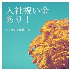 ＼安定＆安心の職場！腰を据えて働こう☆／自動車整備士◎交通費支給や日払い制度など勢揃い♪【nk】A12K0247-1(6)の画像