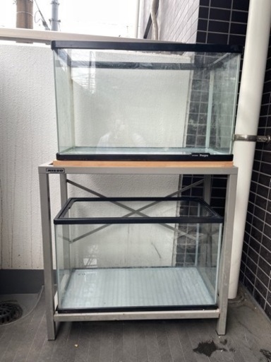 決定しました　水槽セット