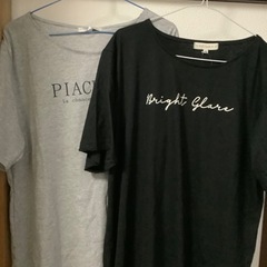 大きいサイズ4L 新品タグ付Tシャツ　無料