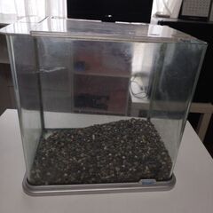 水槽30cm テトラ