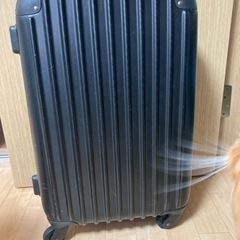 (ジャンク)ひとり向けキャリー