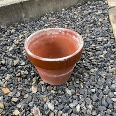 植木鉢いろいろの画像