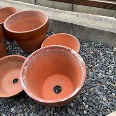 植木鉢いろいろの画像