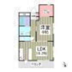 伊勢崎市🏠敷金礼金なし🌸１LDK✨駐車場１台無料🐱フリーレント１か月🌸