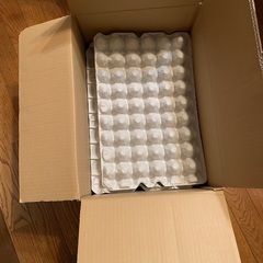 ペットの餌用　卵の紙パック　　　