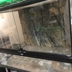 エキゾテラ グラステラリウム60×45 中古の画像