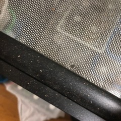 エキゾテラ グラステラリウム60×45 中古の画像