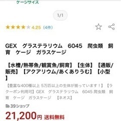 エキゾテラ グラステラリウム60×45 中古の画像