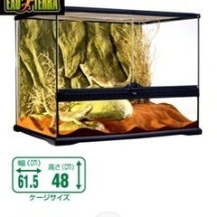 エキゾテラ グラステラリウム60×45 中古の画像