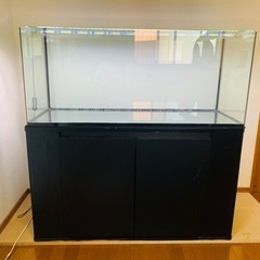W1200×D450×H500 曲げガラス水槽/キャビネット/照明 3点セット 【引き取りorお届け】