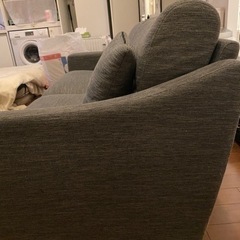 【無料】大型ソファ　6/19以降には処分予定。最大4人まで座れます！の画像