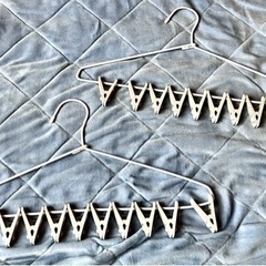 ピンチハンガー亜種 2個セットの画像