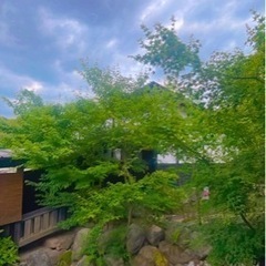 那珂川の温泉処にてリフレッシュヨガ🧘‍♀️🍃🧘‍♂️🔰の画像