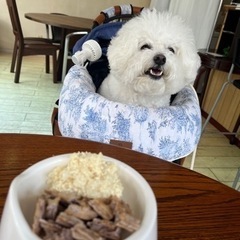 クレープ、ワッフルなどを一緒に食べれるカフェ。スィーツアソートBOW