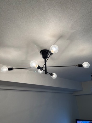 売約済　クラッシュゲート　シーリングライト