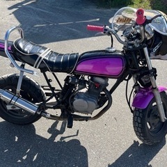 エイプ50/カスタム車両！即乗り可能！！の画像