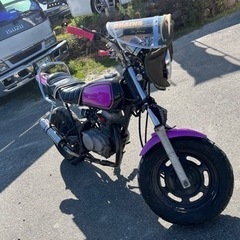 エイプ50/カスタム車両！即乗り可能！！