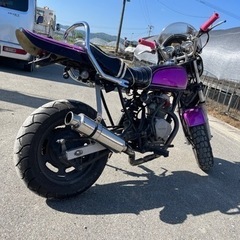 エイプ50/カスタム車両！即乗り可能！！の画像