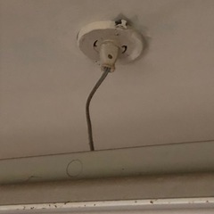 もらって下さい！の画像