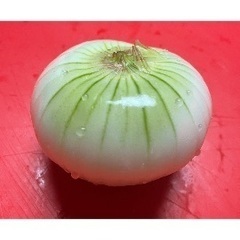 黄色玉葱収穫。2キロからお譲りします。赤玉ねぎはおまけ