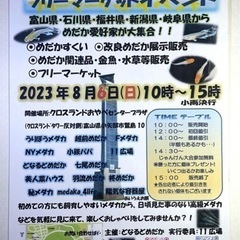 メダカイベント！