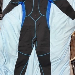 (取引済)ウエットスーツ等シュノーケリング一式の画像