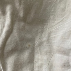 BRIO 積み木　50ピースの画像