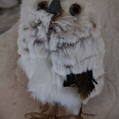 フクロウ無料