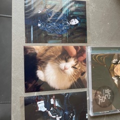 root five √5 るーとファイブ　蛇足　CD dvdの画像