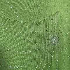 タンクトップ①の画像