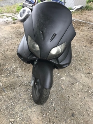 フォルツァ　mf06 格安