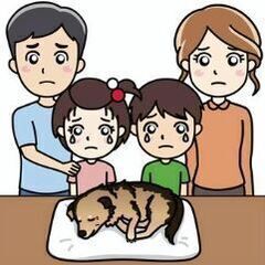 【ペット💗ラブ】ペット火葬搬送代行（収骨なし・合同火葬）―（対応...