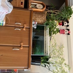 水槽です。