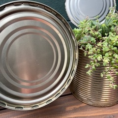 多肉植物入れ缶50円！の画像