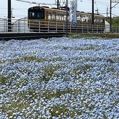 平日午前中カラオケ
