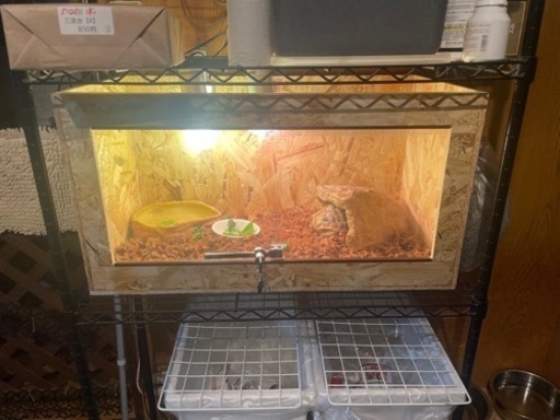 爬虫類ケージ90×45×45