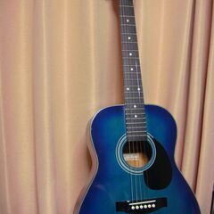 ギター　収納袋付き