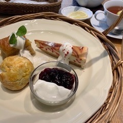 【人見知り向け】サークルメンバー募集中【関西】