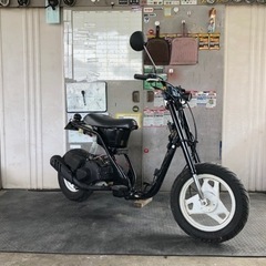 お買い上げいただきました。ありがとうございますスカチューンスクー...