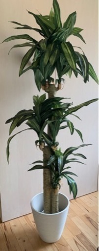 人工観葉植物　 フェイクグリーン 幸福の木 約180cm