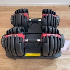 可変式ダンベル24kgの画像