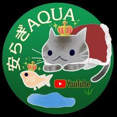 安らぎAQUAの無人メダカ販売所【関東の穴場】6月10日(土)、...