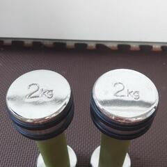 鉄アレイ　2kg×2の画像