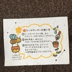 花の種の画像
